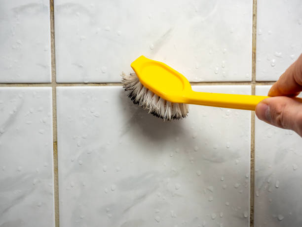 Best Water Damage Restoration  in Fort Payne, AL