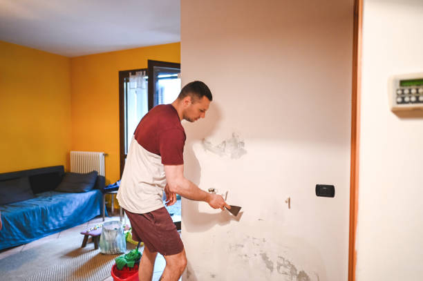 Best Commercial Mold Removal  in Fort Payne, AL
